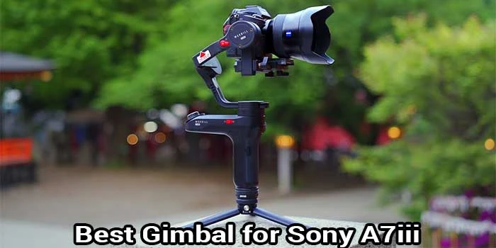 Benefits of Using Gimbal for Sony A7iii