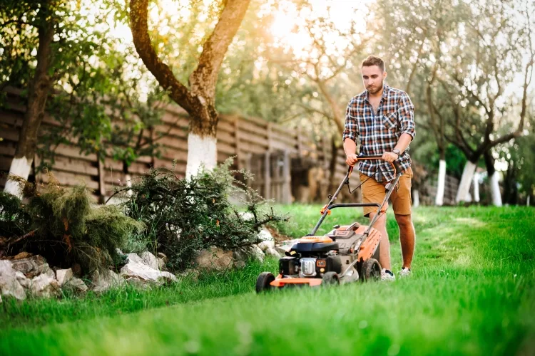 Best Lightweight Lawnmowers: Reviews, Buying Guide and FAQs 2023
