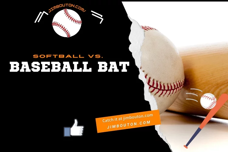 Softball vs. Baseball Bat
