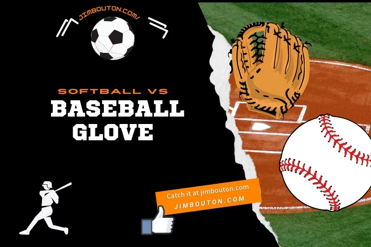 Softball vs Baseball Glove