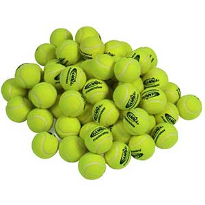 Gamma Sports Pressureless Practice Tennis Balls