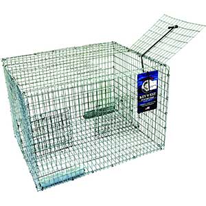 Joy Fish Pinfish Trap | Rust-Free | Galvanized