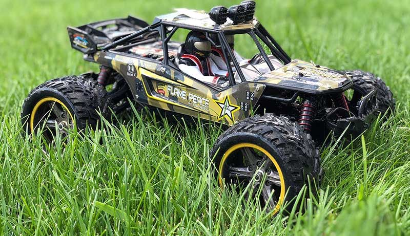 Best RC Car For Grass